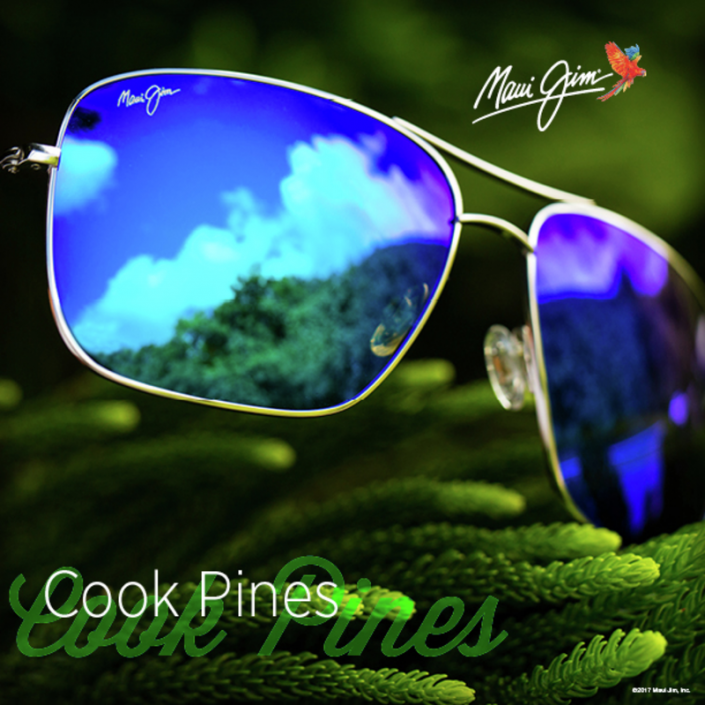 cook pines copy